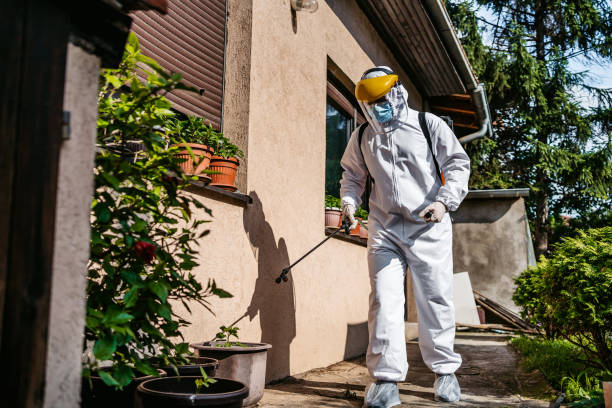 Best Commercial Pest Control Services  in Inglewood, CA