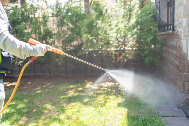 Wasp Removal Services in Inglewood, CA